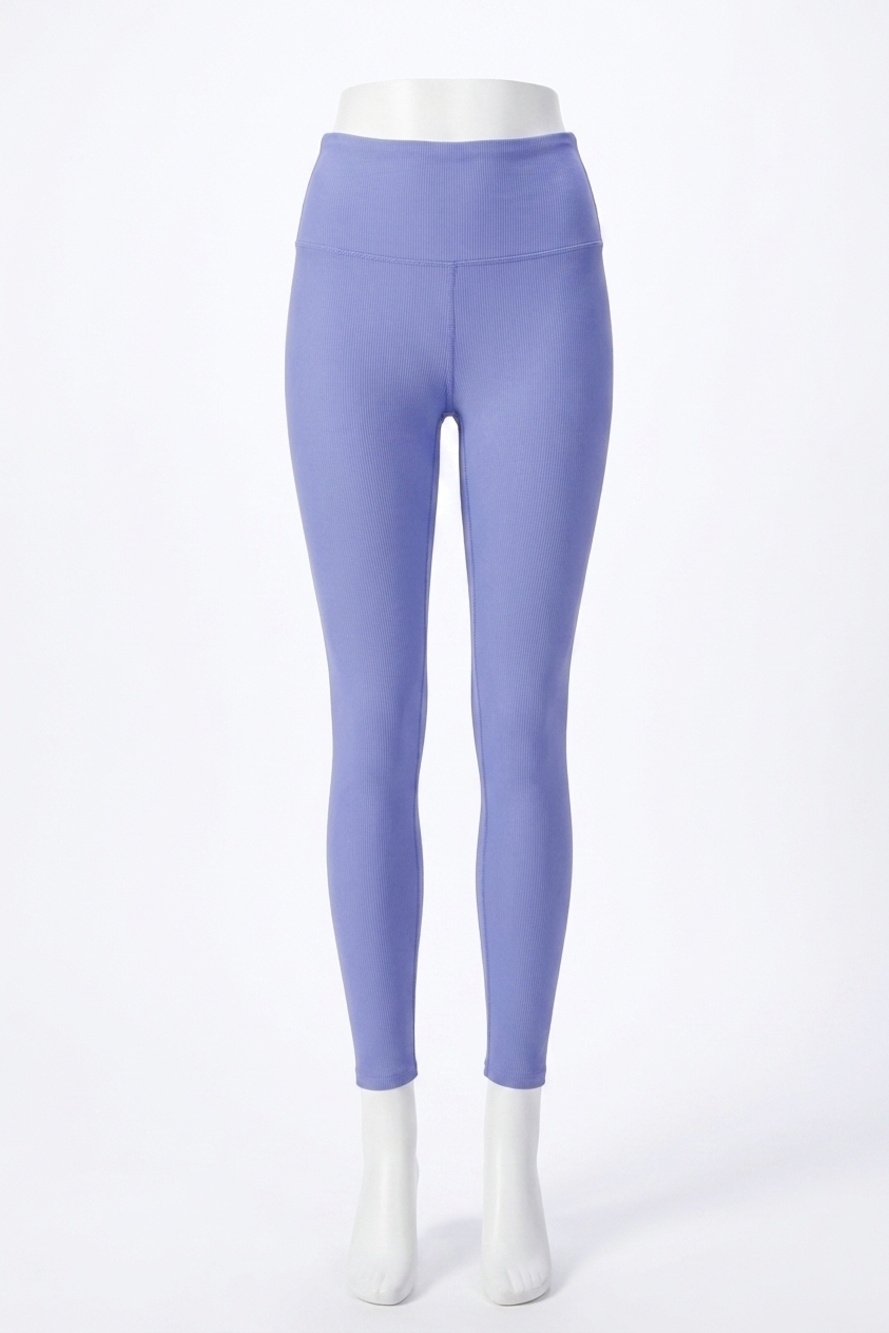 NEW BEACH RIOT ayla legging in periwinkle